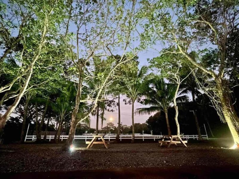 Batangas: Countryside Private Horseback Ride with Cafe Stop - An Authentic Countryside Ride in Batangas