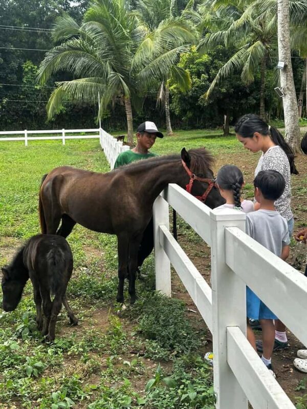 Batangas: Countryside Private Horseback Ride with Cafe Stop - Who Will Love This Experience?