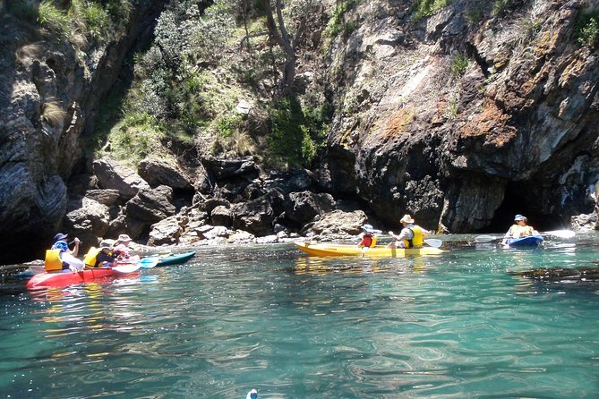 Batemans Bay Glass-Bottom Kayak Tour Over 2 Relaxing Hours - Tour Overview and Inclusions