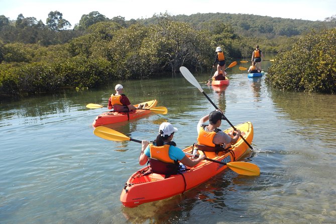 Batemans Bay Glass-Bottom Kayak Tour Over 2 Relaxing Hours - Additional Information