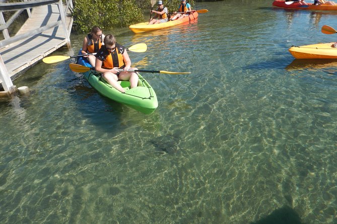 Batemans Bay Glass-Bottom Kayak Tour Over 2 Relaxing Hours - The Sum Up