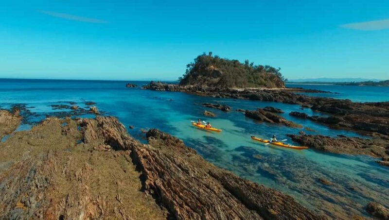 Batemans Bay: Half-Day Sea Kayak Tour - Good To Know