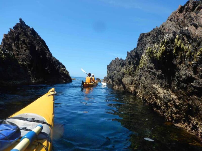 Batemans Bay: Half-Day Sea Kayak Tour - What to Expect from Your Sea Kayak Adventure