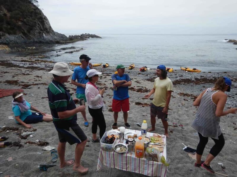 Batemans Bay: Half-Day Sea Kayak Tour - Final Thoughts