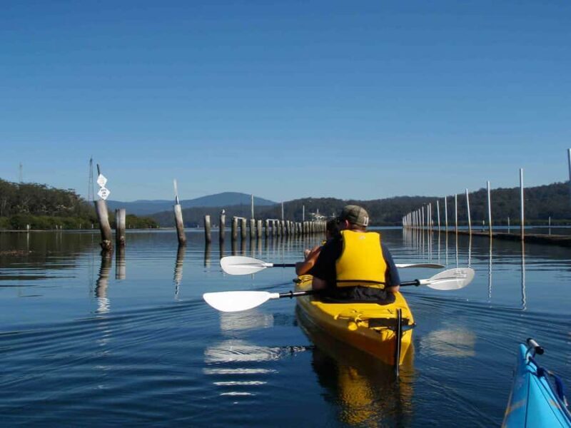 Batemans Bay: Oyster Tasting Kayak Tour - Real Experiences and Feedback