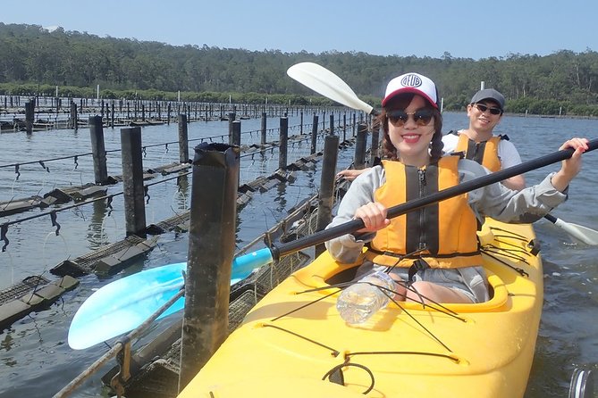 Batemans Bay Oyster Tasting Kayak Tour - Tour Experience