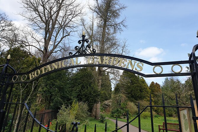 Bath - (4 Hours) Extended Walking Tour - Blue Badge Guide - Bath Abbey