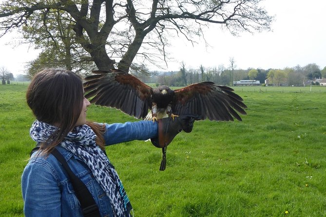 Bath City Tour & Fly a Hawk Experience - Day Tour From Bath - Enjoy a Private Round-Trip Transfer
