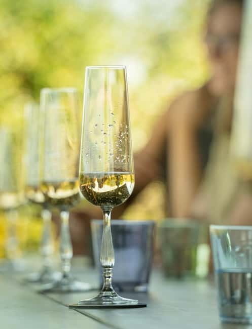 Bath: Vineyard Tour, Wine Tasting, and Music Pairing - Exploring the Vineyard and Its Roots