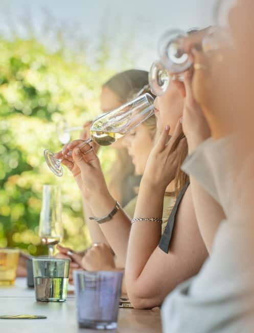 Bath: Vineyard Tour, Wine Tasting, and Music Pairing - Value for Money and Overall Impression