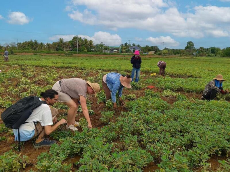 Battambang: Bamboo Train, Killing Cave, & Bat Cave Tour - Practical Considerations and What to Expect  