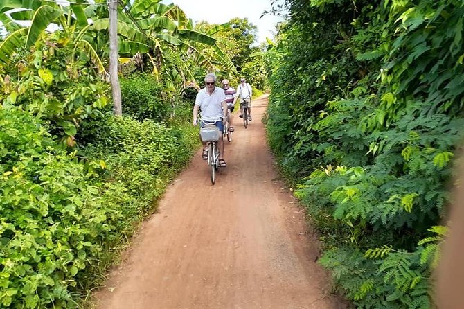 Battambang: Local Countryside & Temples Half-Day Cycling Tour - Reviews and Tour Policies
