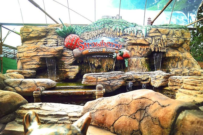 Batu Caves And Genting Highland Tour - Customer Reviews