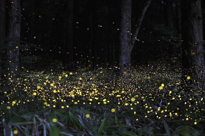 Batu Caves & Kuala Lumpur Full-Day City Tour - Final Words