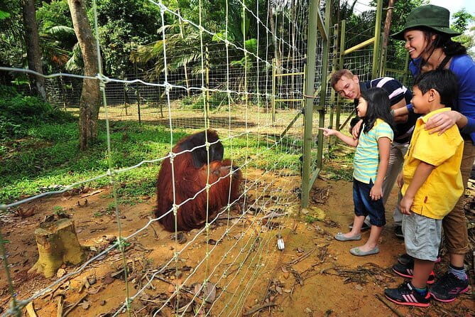 Batu Caves Temple, Royal Selangor Pewter and Batik Factory Tour - Who Is This Tour Best For?