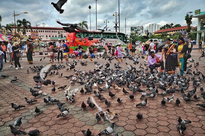 Batu Caves Twilight and Little India Evening Tour - Final Thoughts