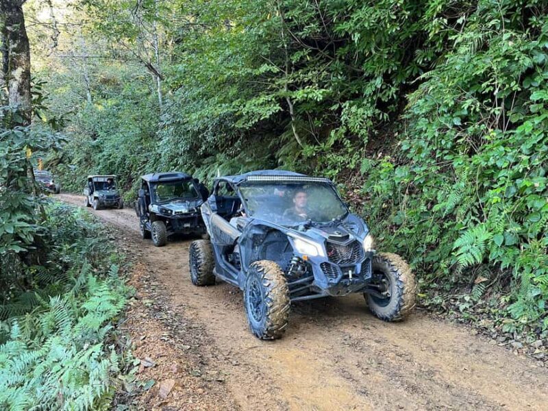 Batumi: Mtirala ATV, Buggy Maverick & Horse Riding Trip - In-Depth Activity Breakdown