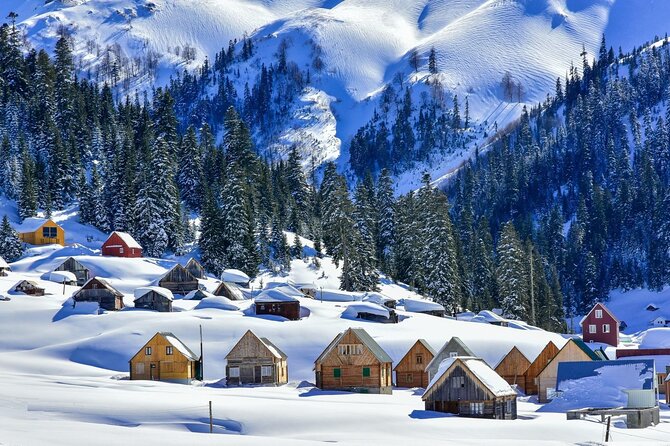 Batumi Snow Adventure: Explore Georgias Winter Wonderland - Operator Details