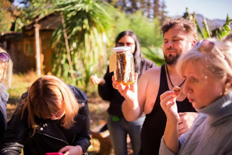 Batumi: Sweet Excursion and Mtirala Forest - Good To Know