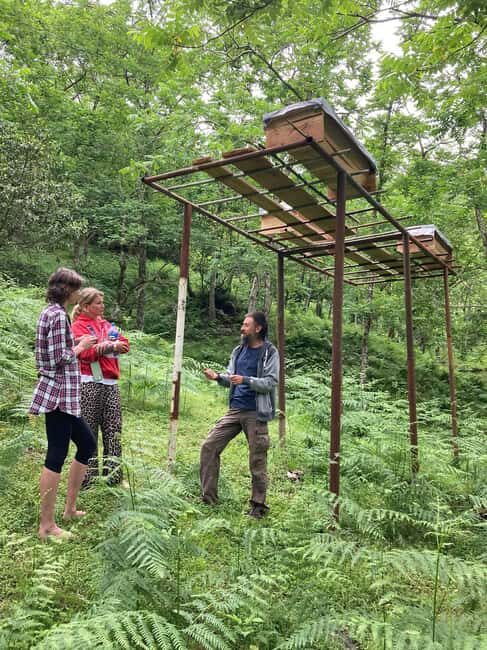 Batumi: Sweet Excursion and Mtirala Forest - The Itinerary Breakdown