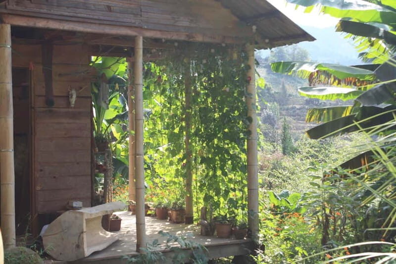 Batumi: Sweet Excursion and Mtirala Forest - Practical Tips for Travelers