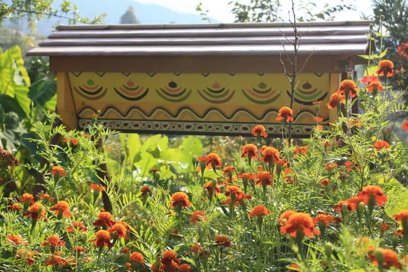 Batumi: Sweet Excursion and Mtirala Forest - The Value of This Experience