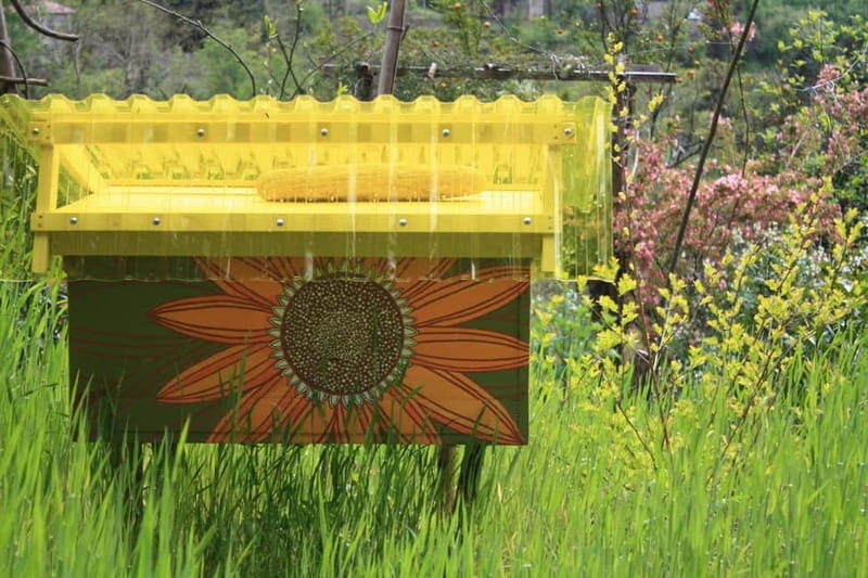 Batumi: Sweet Excursion and Mtirala Forest - Who Should Consider This Tour?