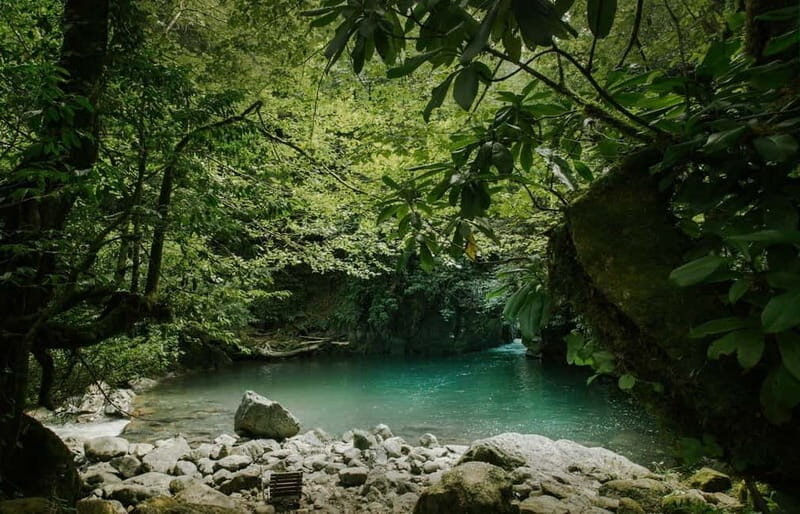 Batumi to Mtirala National park - Half day hiking group tour - Practical Tips for the Tour