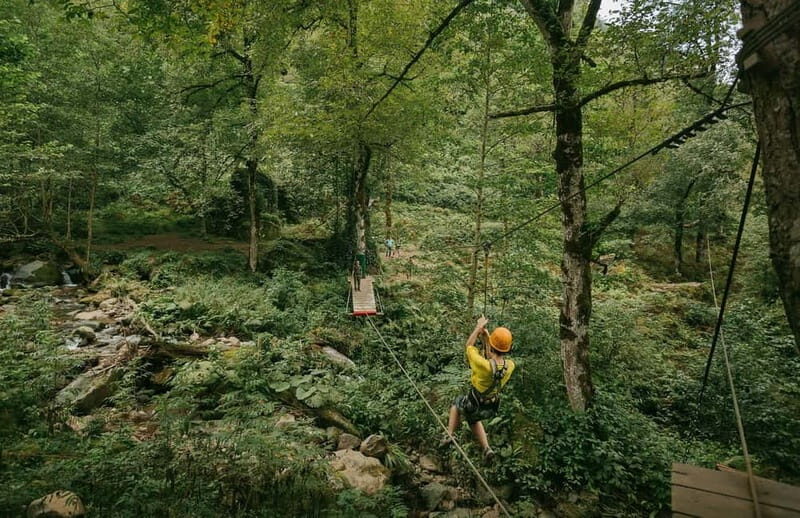 Batumi to Mtirala National park - Half day hiking group tour - Final Thoughts: Who Will Love This Tour?