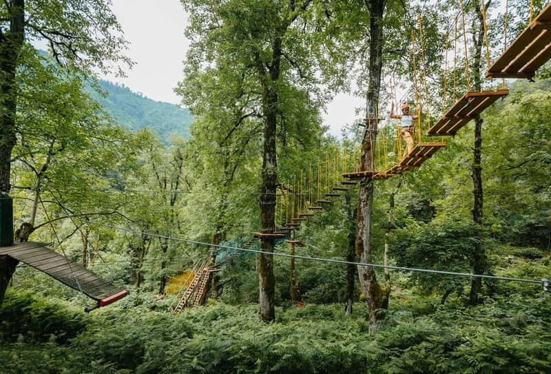 Batumi to Mtirala National park - Half day hiking group tour - FAQ