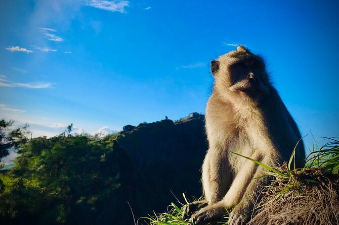 Batur Trekking Sunrise With Breakfast - Overview of Batur Trekking Sunrise