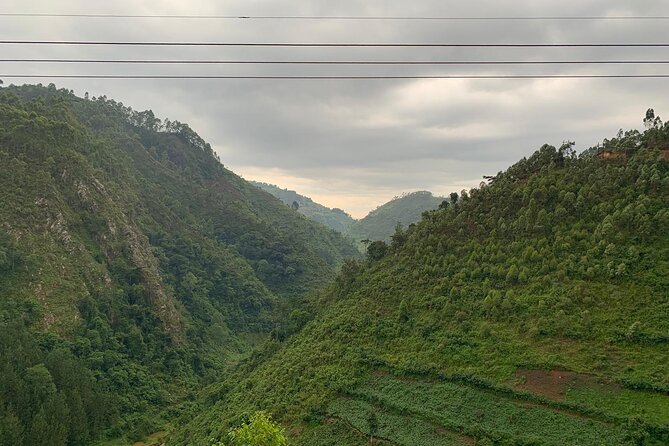 Batwa Cultural Trail in Mgahinga Gorilla National Park - Ticket Details