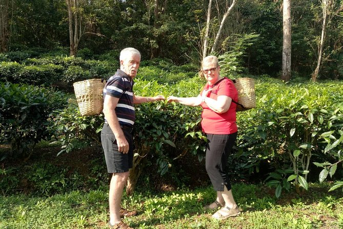 Bau Thong Waterfalls, Tea, and Wat Ban Den Private Tour - The Sum Up