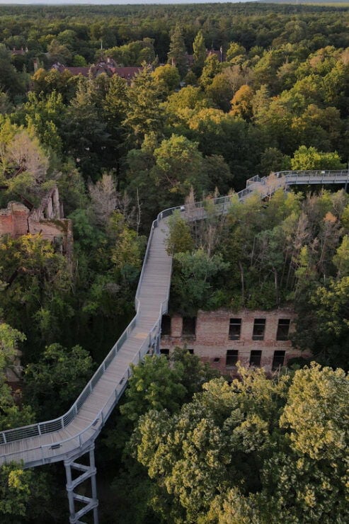 Baum&Zeit Beelitz-Heilstätten: Tree Top Walk Entry Ticket - Key Points