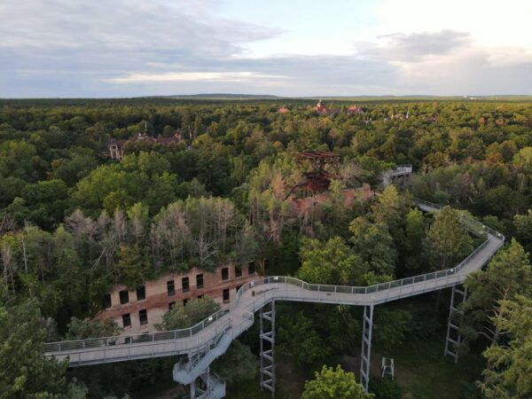 Baum&Zeit Beelitz-Heilstätten: Tree Top Walk Entry Ticket - Frequently Asked Questions