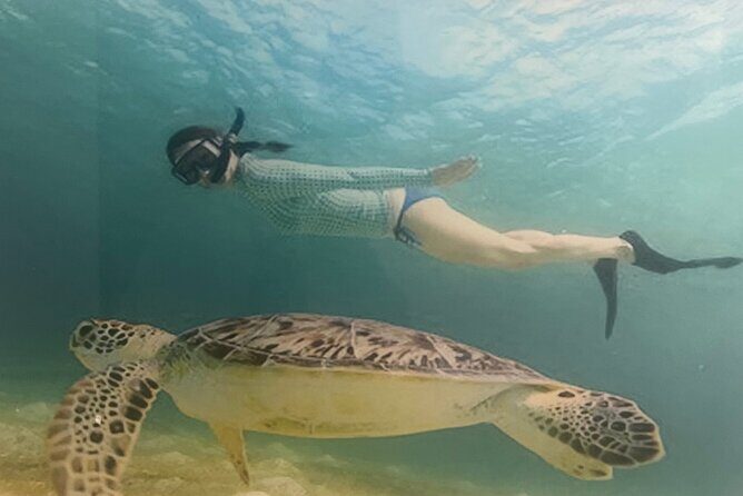 Bavaro Punta Cana EN boat party with drinks and transportation - Final Thoughts