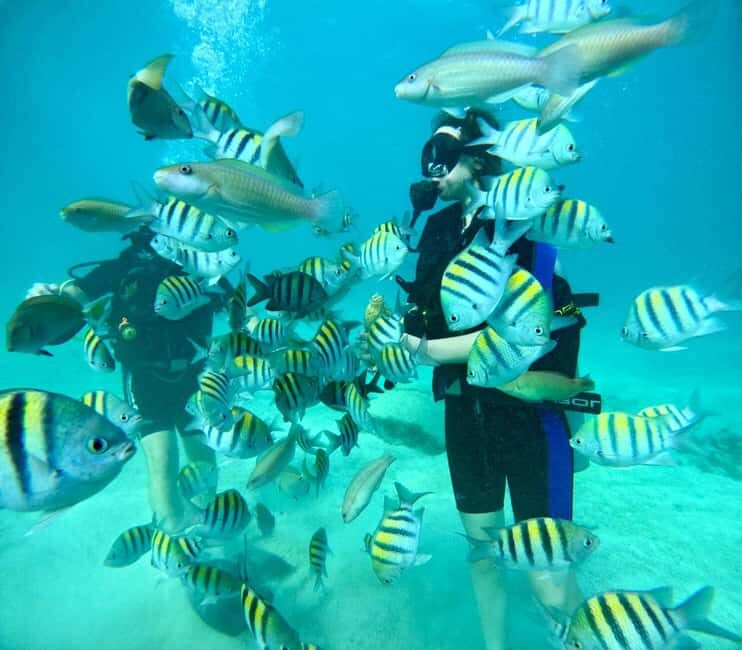 Bávaro: Scuba Diving Experience for Beginners - Good To Know