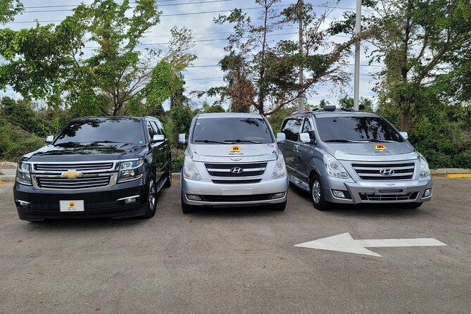 Bávaro to Punta Cana Airport (Puj) One Way - What To Expect