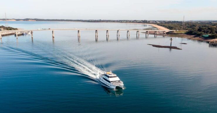 Bay & Beats Cruise - Activity Details