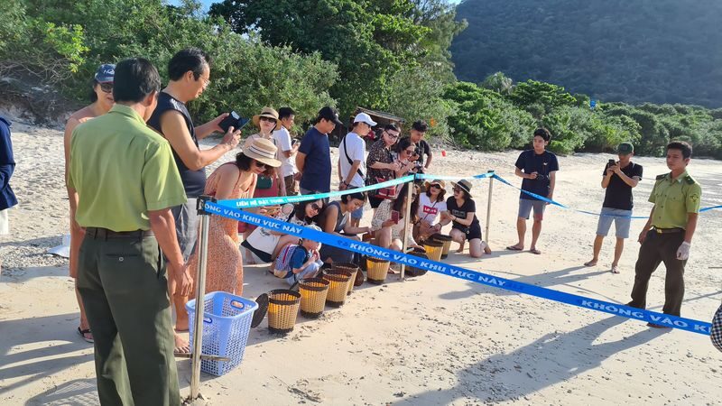 Bay Canh & Hon Cau Island Snorkeling Tour With Turtle Release - What the $47.79 fare gets you