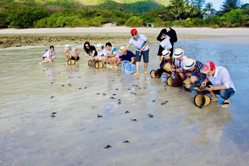 Bay Canh & Hon Cau Island Snorkeling Tour With Turtle Release - Who will get the most from this tour