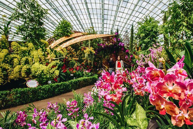 Bay Cloud Forest Gardens, Flower Dome, Jurassic World Experience - Who Would Love This Tour?