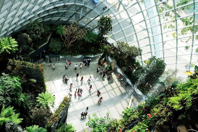 Bay Cloud Forest Gardens, Flower Dome, Jurassic World Experience - Final Thoughts: Who Is This Tour Best For?