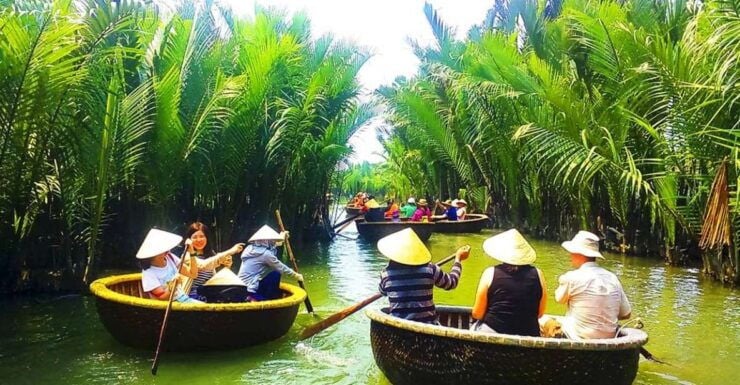 Bay Mau Coconut Palm Forest - Daily Tours - Activity Description