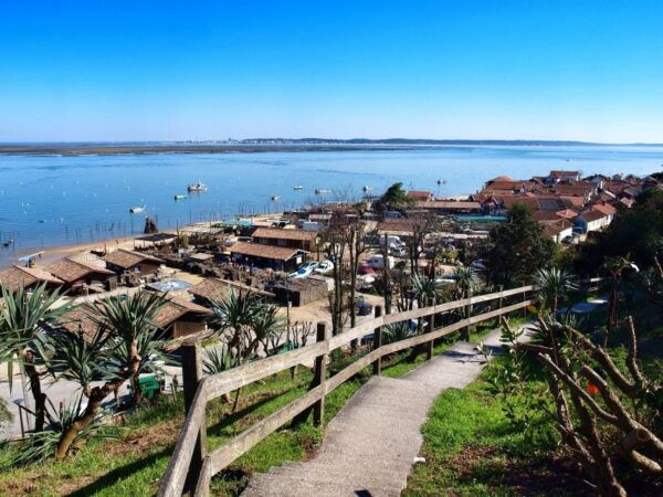 Bay of Arcachon: Guided Food Tour - Frequently Asked Questions