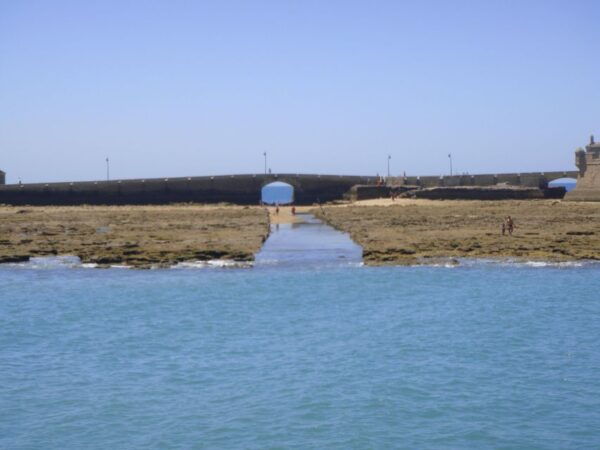 Bay of Cadiz Catamaran Tour With Host - Customer Reviews