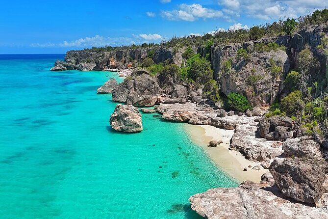 Bay of Eagles VIP : Full Day to Paradise From Santo Domingo - The Sum Up