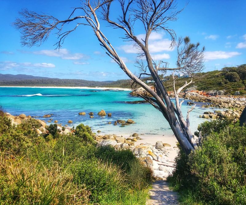 Bay of Fires & Binalong Bay Full-Day Tour - Key points before you book