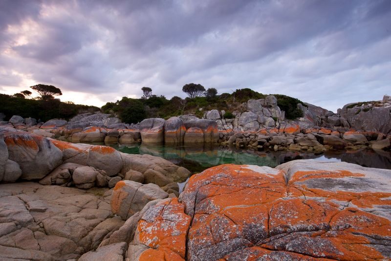 Bay of Fires & Binalong Bay Full-Day Tour - Lavender at Bridestowe, with a seasonal catch