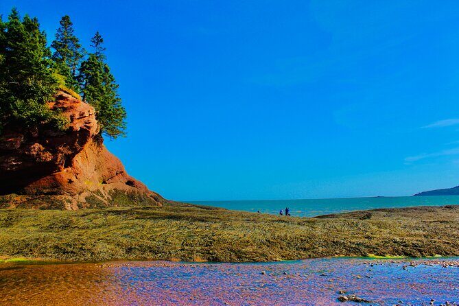 Bay Of Fundy Guided Tour - Introducing the Bay of Fundy Guided Tour: A Closer Look